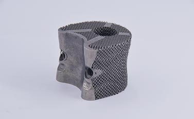 创世红海|官方下载