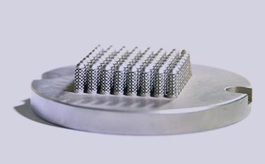 创世红海|官方下载