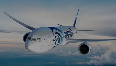 创世红海|官方下载