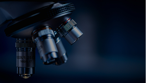 创世红海|官方下载