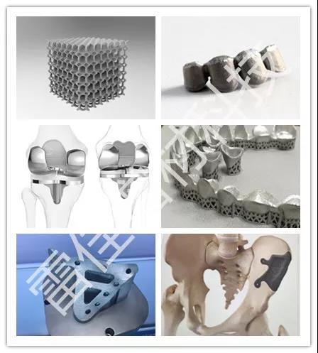 创世红海|官方下载